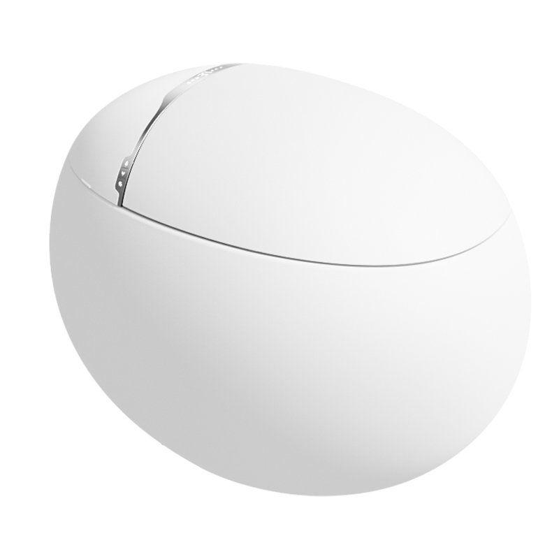 Smart Toilet